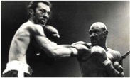 miter-hagler