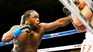 Bermane Stiverne 