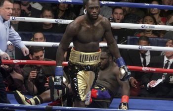 DEONTAY WILDER VS BERMANE STIVERNE (PHOTO CREDIT: SUMIO YAMADA)