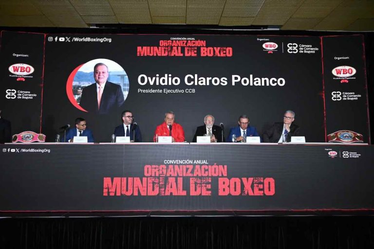 Organización Mundial de Boxeo